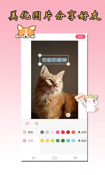 猫语狗语翻译器app安卓版截图1